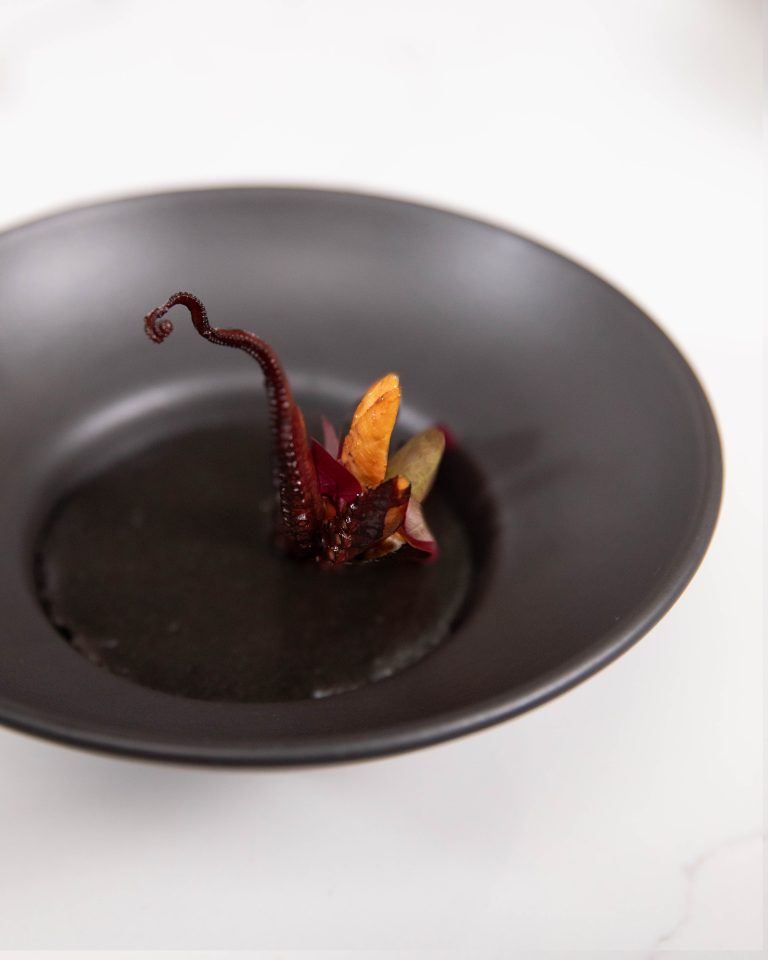 Octopus Course in a black dish